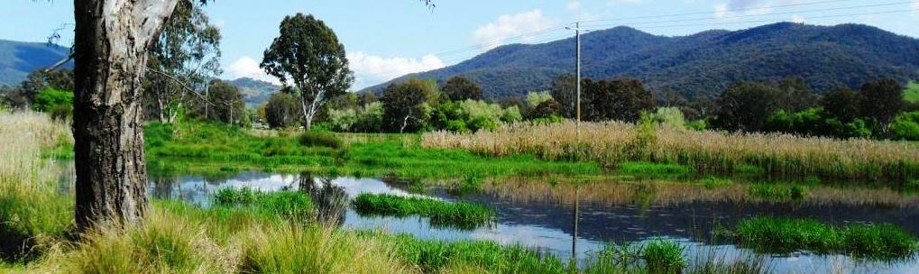 Kergungah Wetlands